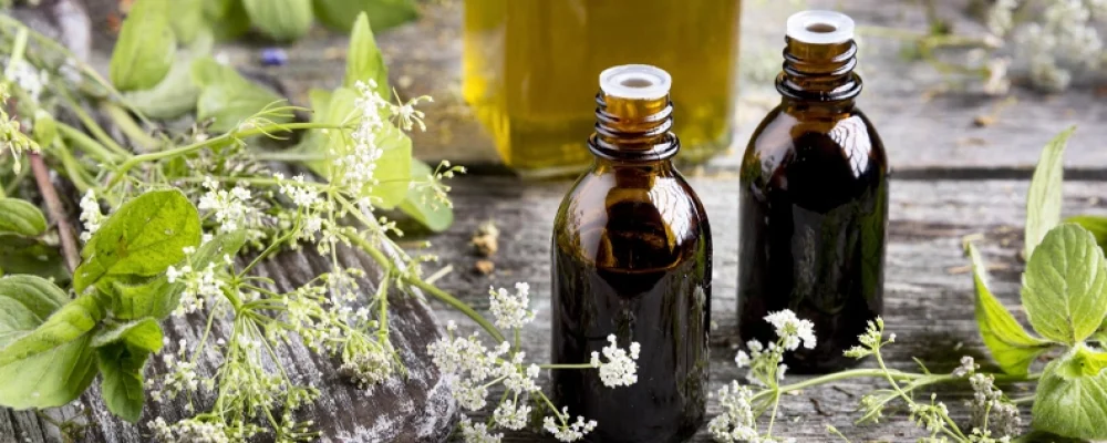 Kronik Hastalıklarda Fitoterapi